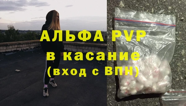 хмурый Магас