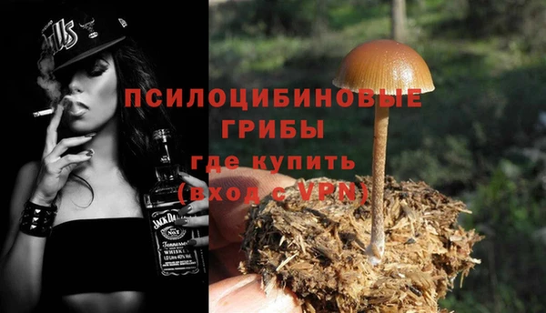 COCAINE Майский