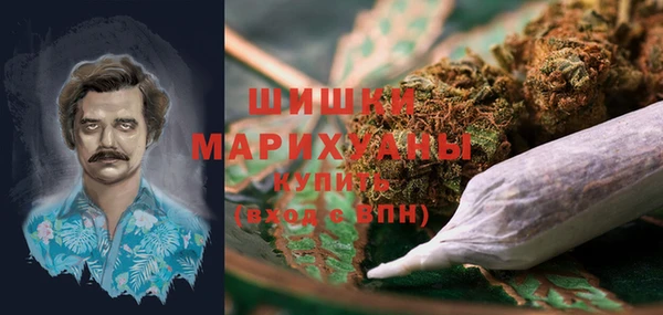 хмурый Магас