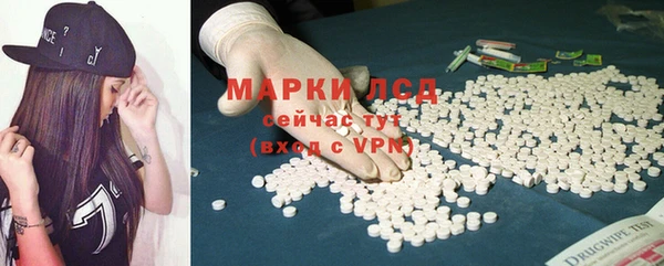 хмурый Магас