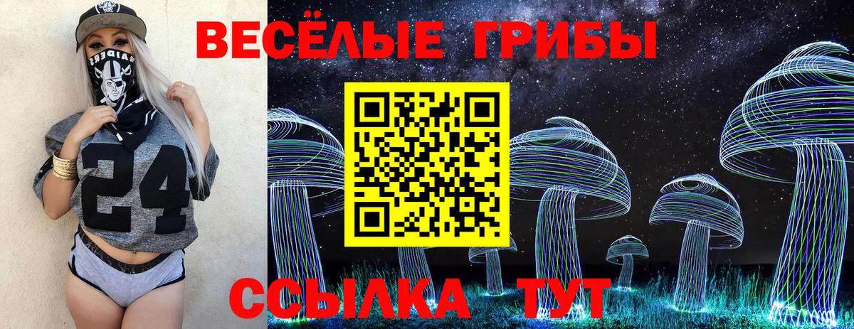 Псилоцибиновые грибы GOLDEN TEACHER  Вход с VPN  Псилоцибиновые грибы мухоморы  Братск 