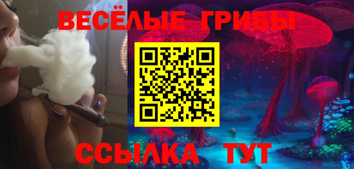 Галлюциногенные грибы GOLDEN TEACHER Братск