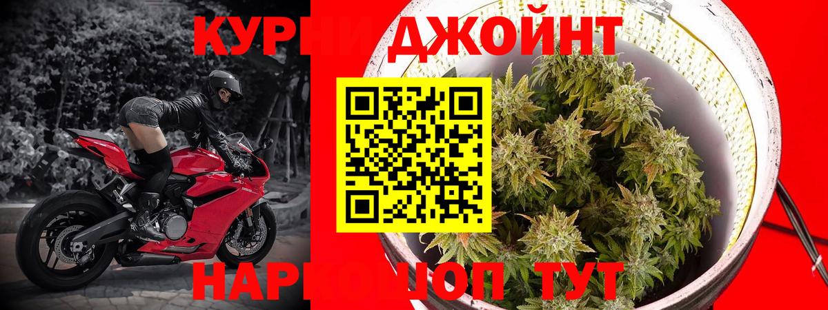 Бошки Шишки семена Братск